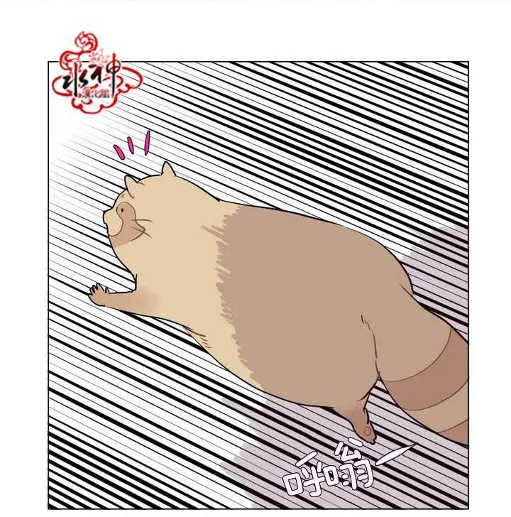 《花道士》第17回 第22页