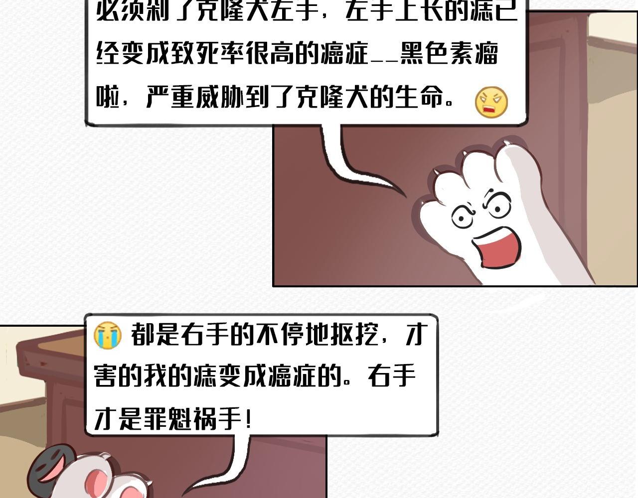 《薛定鹅撸科学-好玩的科学goose故事！》薛定鹅撸科学-不要随便撩我呦！ 第6页