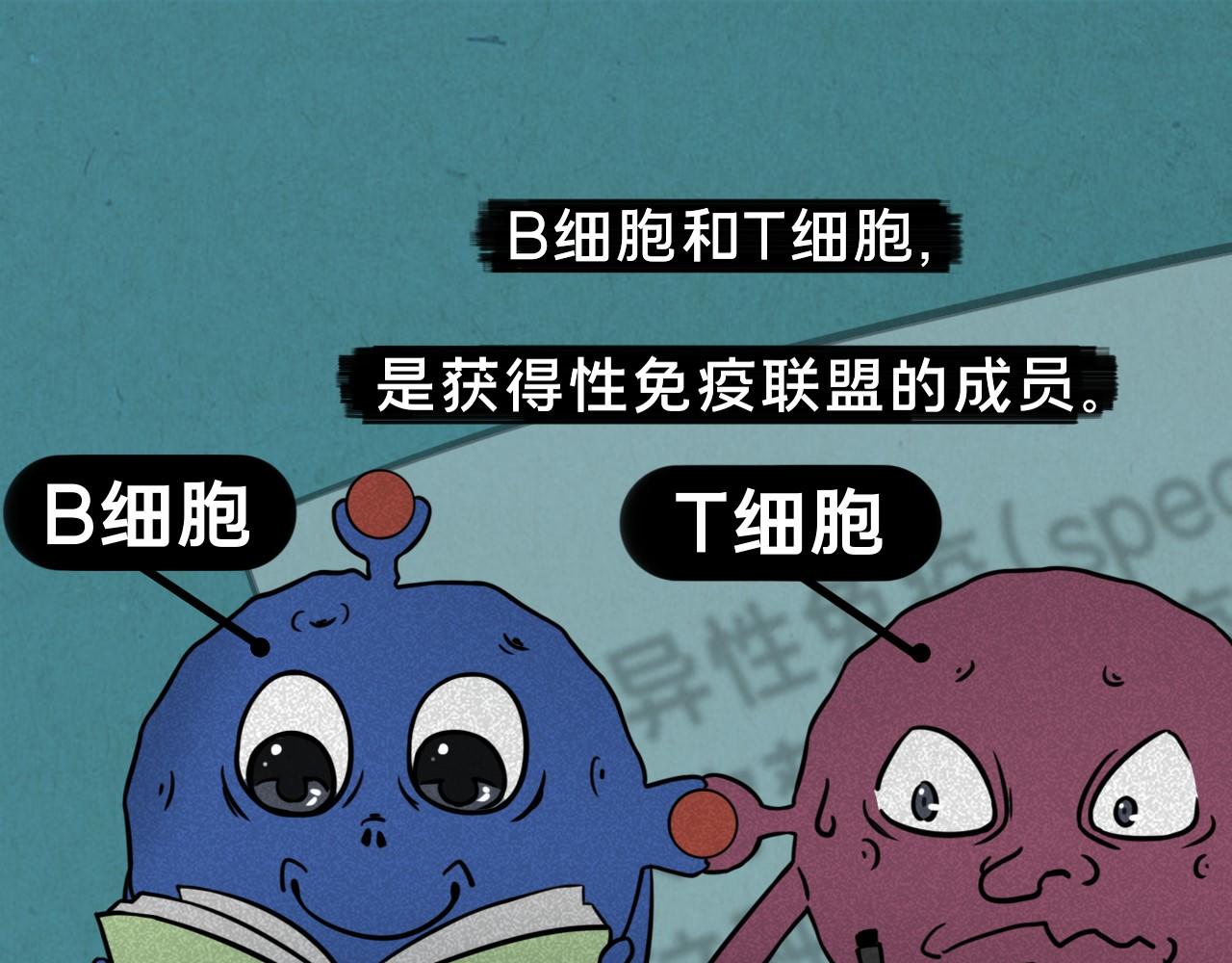 《薛定鹅撸科学-好玩的科学goose故事！》绝对防御-免疫力 第28页