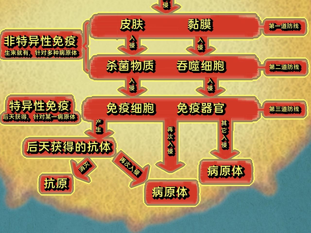 《薛定鹅撸科学-好玩的科学goose故事！》绝对防御-免疫力 第31页