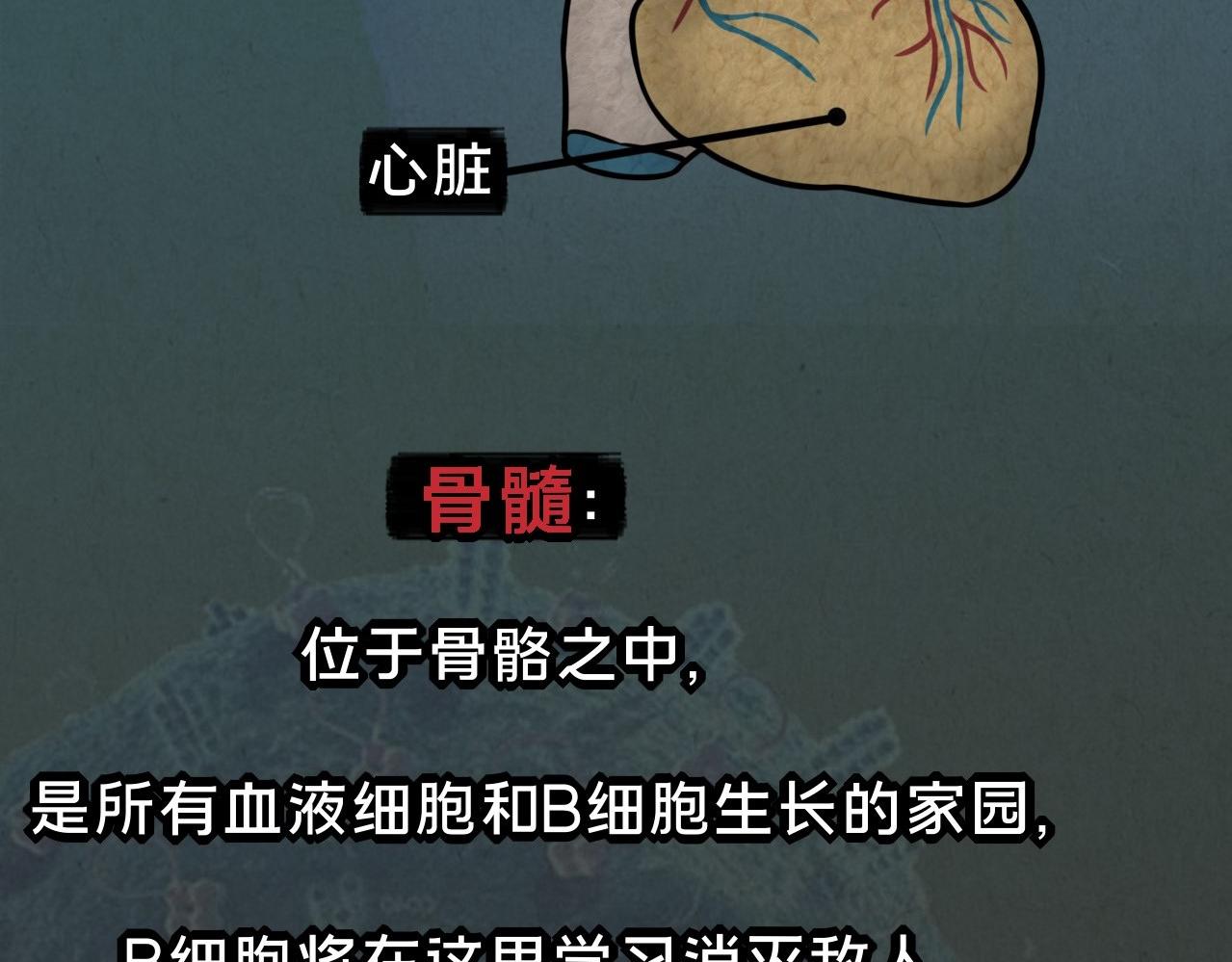 《薛定鹅撸科学-好玩的科学goose故事！》绝对防御-免疫力 第37页