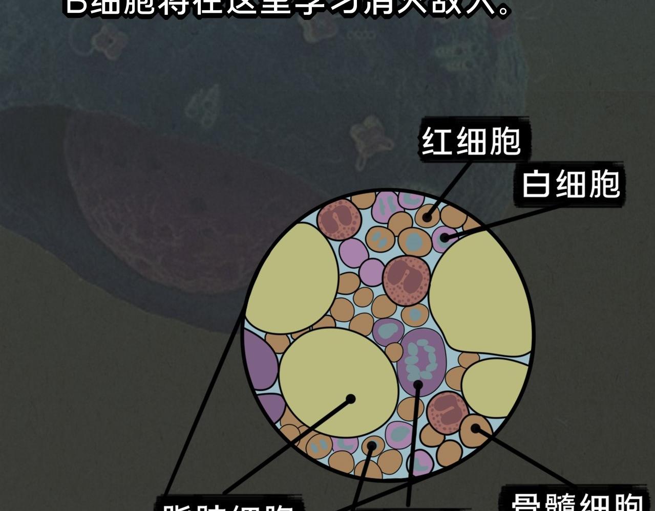 《薛定鹅撸科学-好玩的科学goose故事！》绝对防御-免疫力 第38页