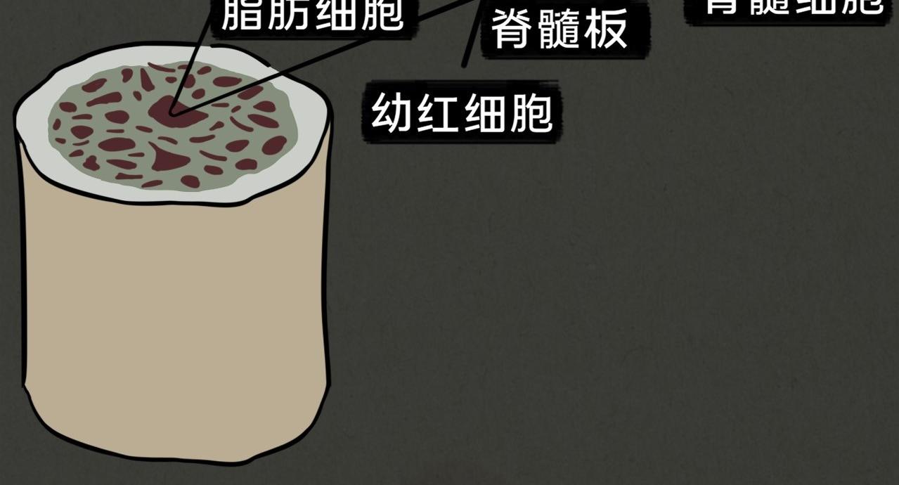 《薛定鹅撸科学-好玩的科学goose故事！》绝对防御-免疫力 第39页