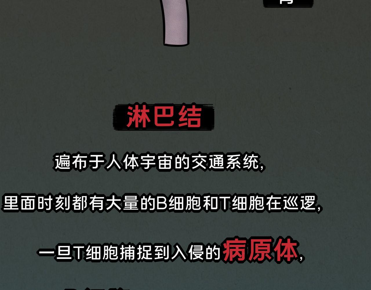 《薛定鹅撸科学-好玩的科学goose故事！》绝对防御-免疫力 第42页