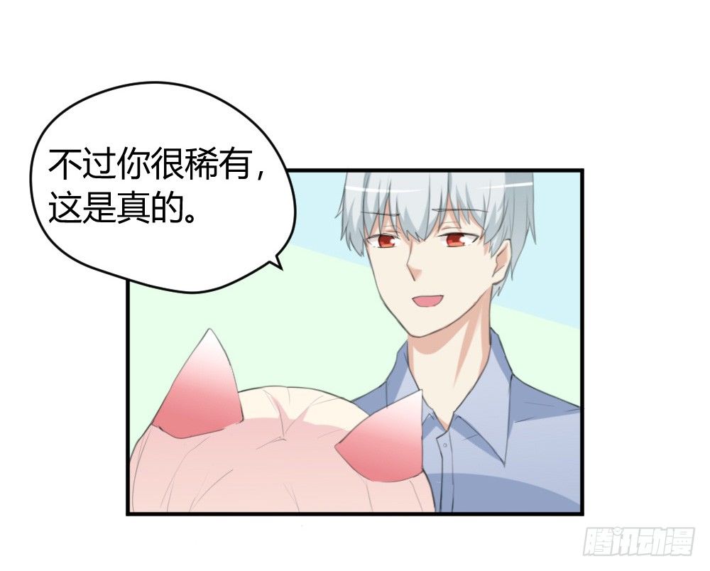 《猪可以有多可爱》变成一只猪 第10页