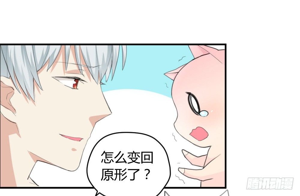 《猪可以有多可爱》变成一只猪 第31页