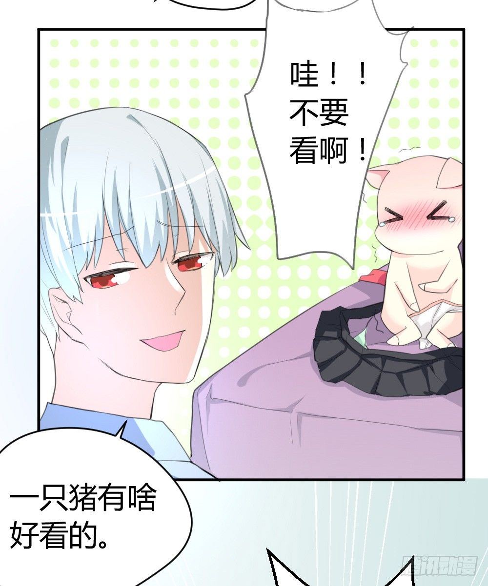 《猪可以有多可爱》变成一只猪 第32页