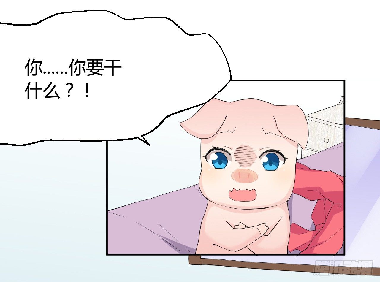 《猪可以有多可爱》到处是妖怪 第3页