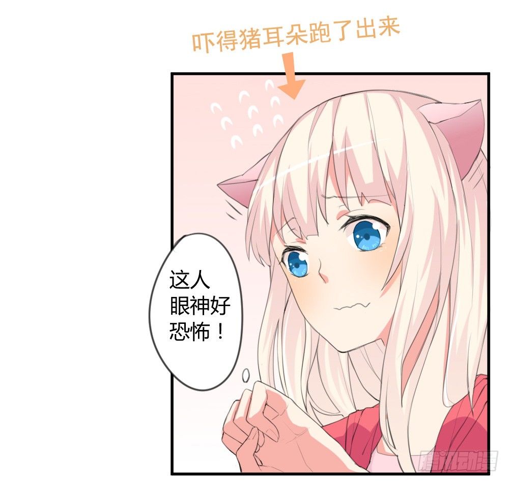 《猪可以有多可爱》你是我的劫 第34页