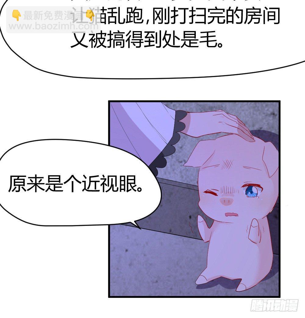 《猪可以有多可爱》听到了老爸的名字 第13页