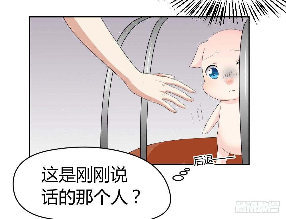 《猪可以有多可爱》听到了老爸的名字 第23页