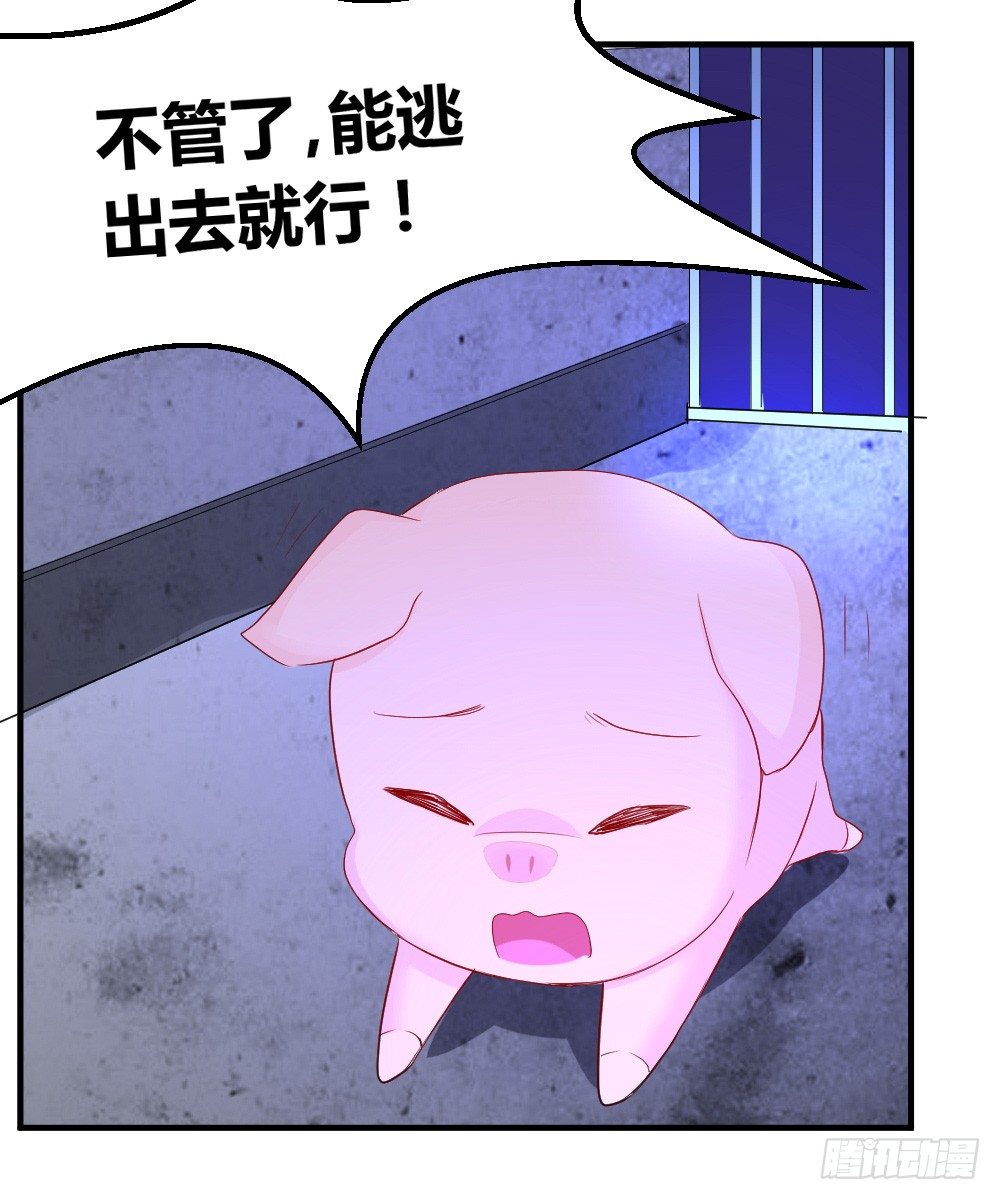 《猪可以有多可爱》听到了老爸的名字 第8页