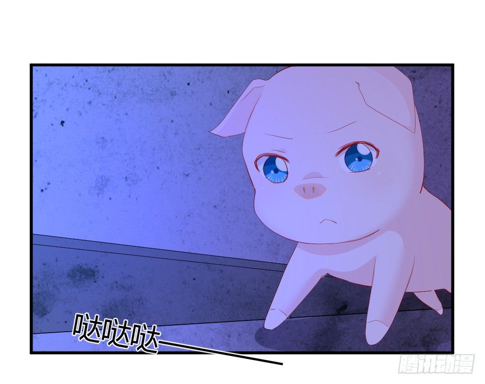 《猪可以有多可爱》听到了老爸的名字 第9页