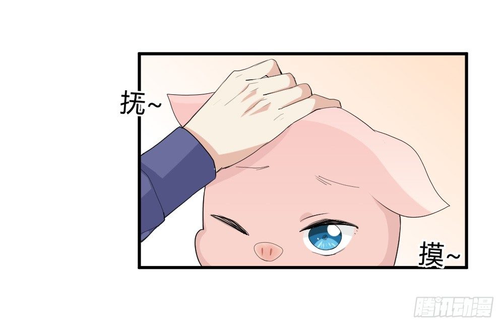 《猪可以有多可爱》猪猪学法术 第23页