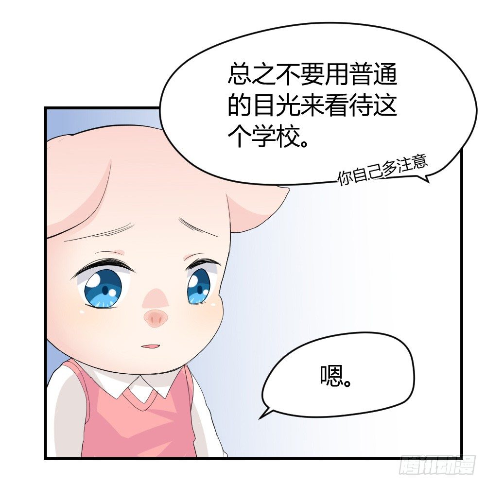 《猪可以有多可爱》猪猪学法术 第35页