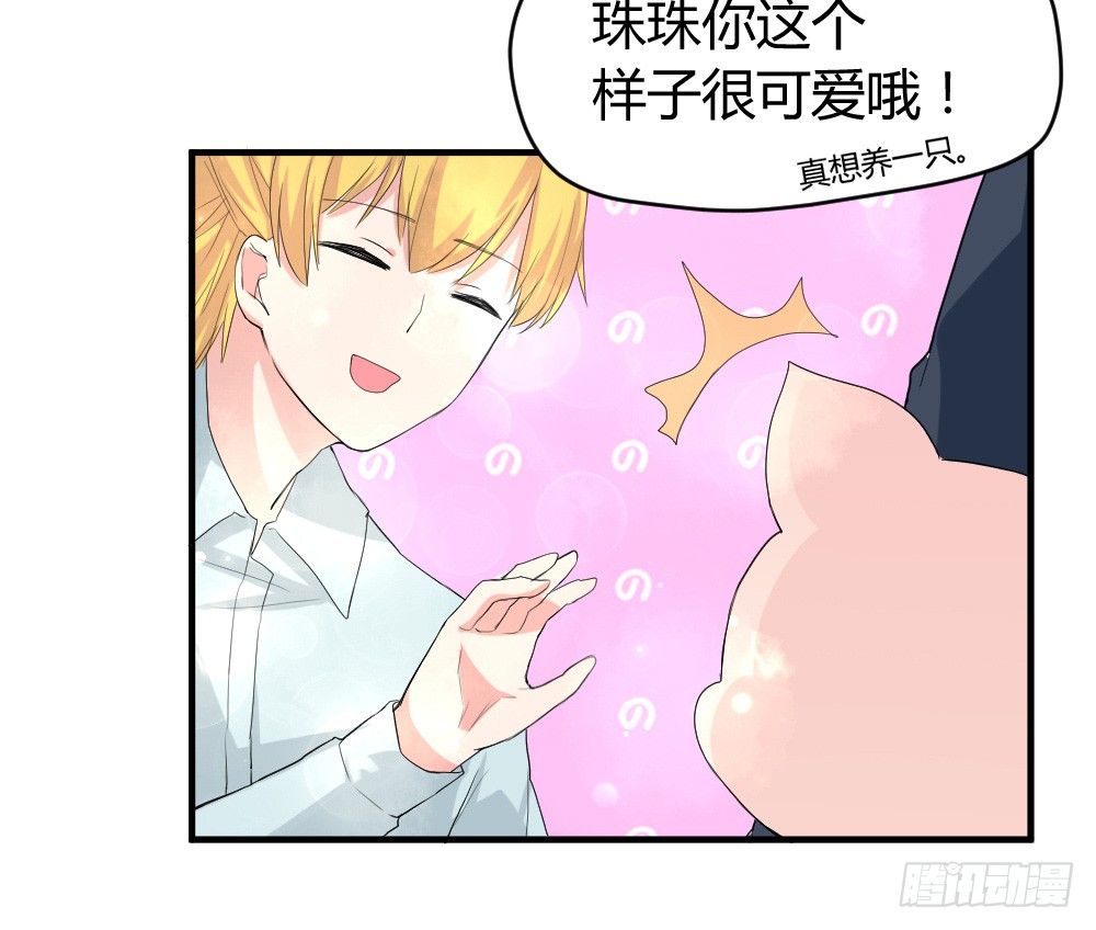 《猪可以有多可爱》猪猪学法术 第40页