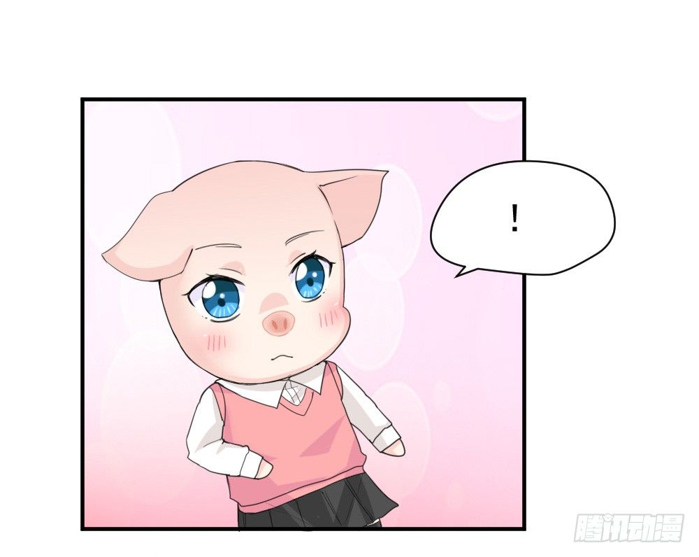 《猪可以有多可爱》只能做猪猪 第11页