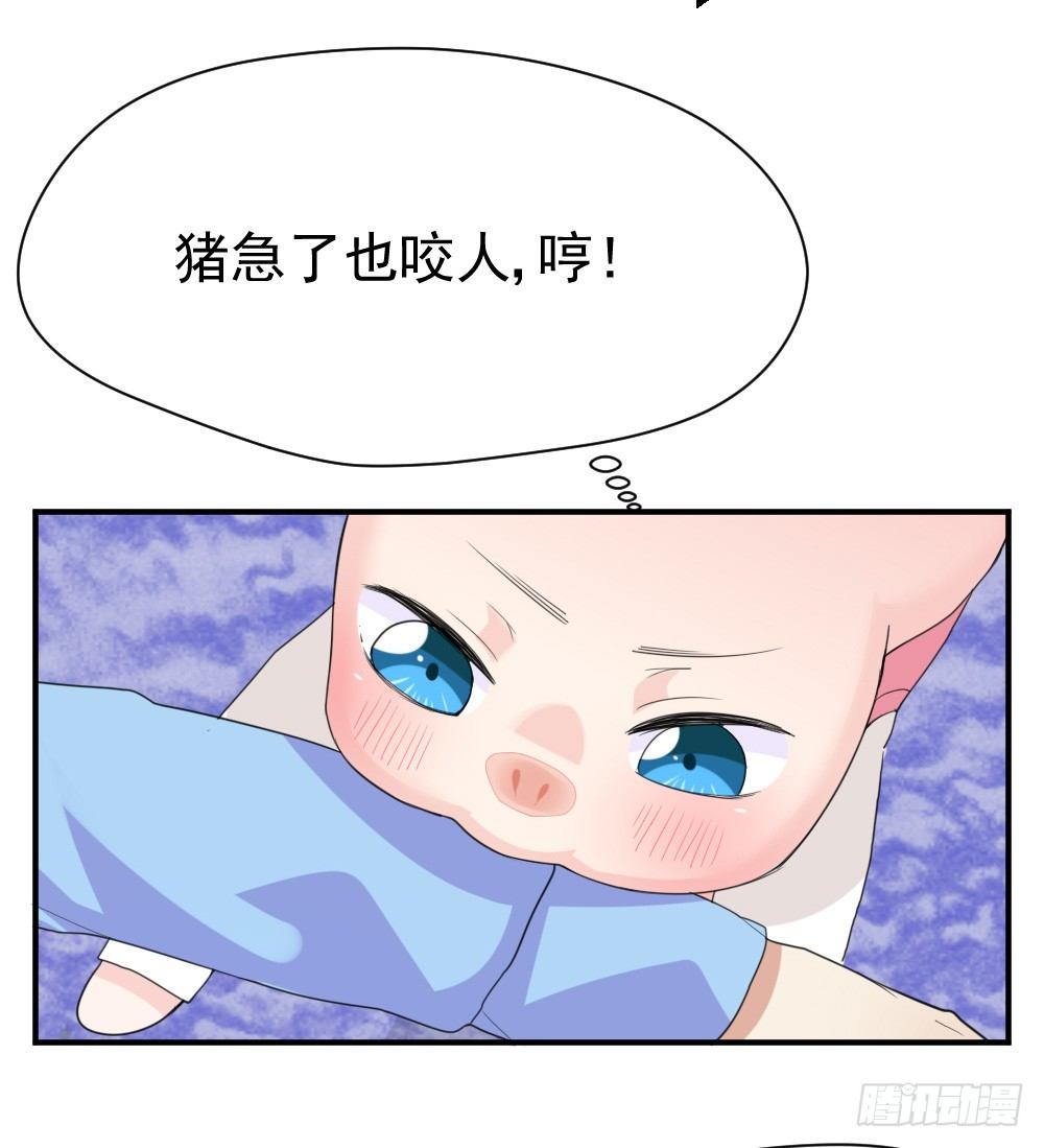 《猪可以有多可爱》只能做猪猪 第15页