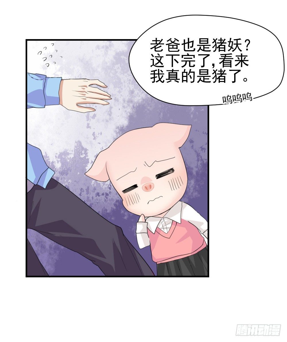 《猪可以有多可爱》只能做猪猪 第19页