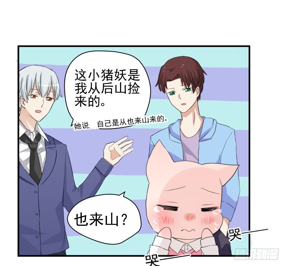 《猪可以有多可爱》只能做猪猪 第23页