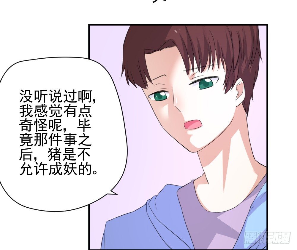 《猪可以有多可爱》只能做猪猪 第24页