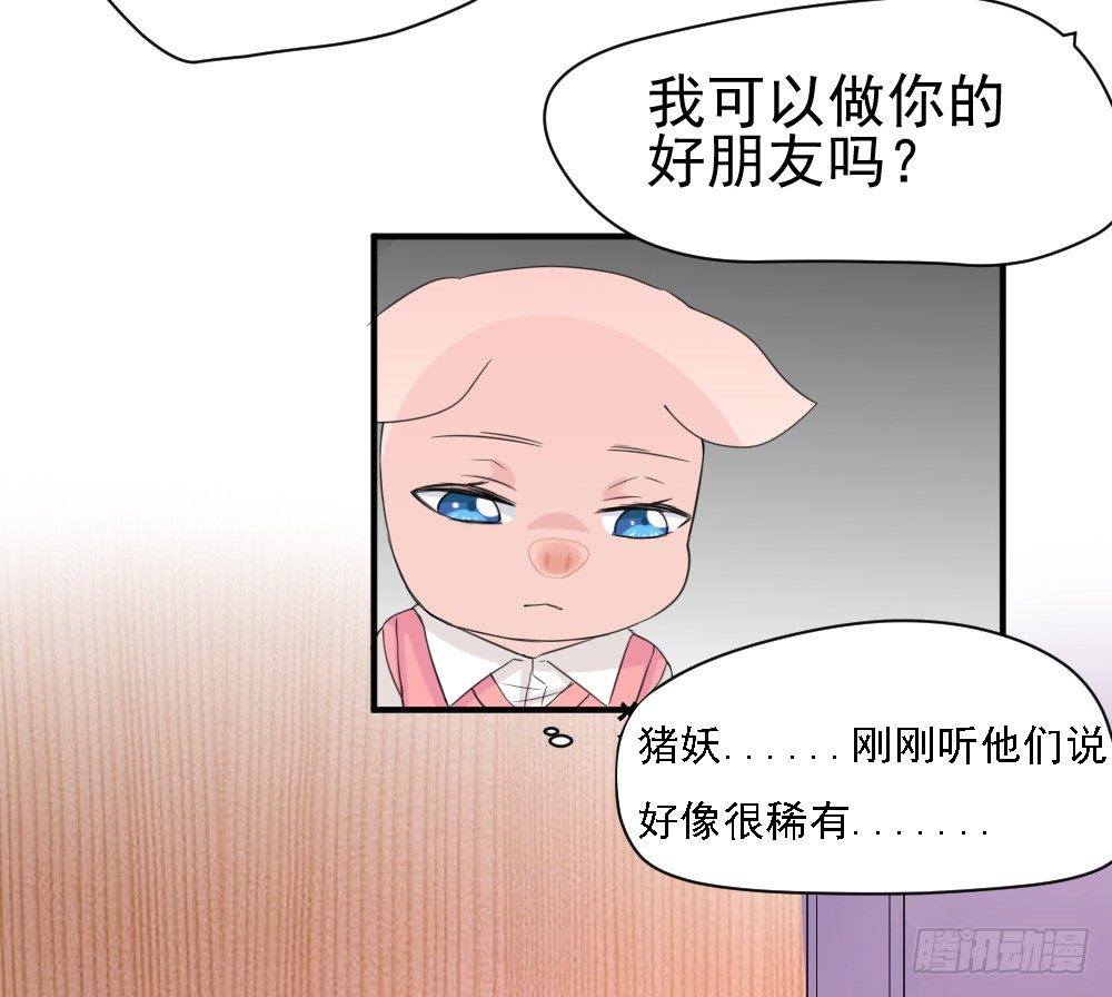 《猪可以有多可爱》只能做猪猪 第33页