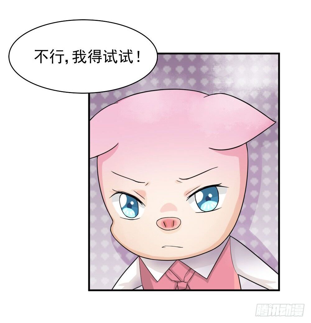 《猪可以有多可爱》奇怪的猪猪画像（3） 第17页