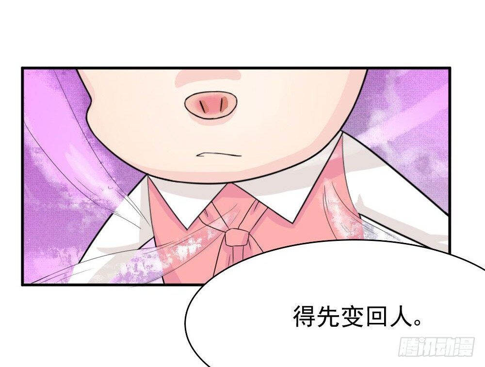 《猪可以有多可爱》奇怪的猪猪画像（3） 第18页