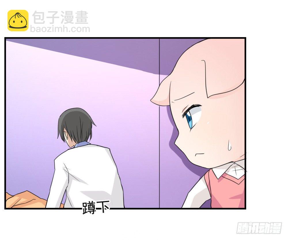 《猪可以有多可爱》奇怪的猪猪画像（2） 第3页
