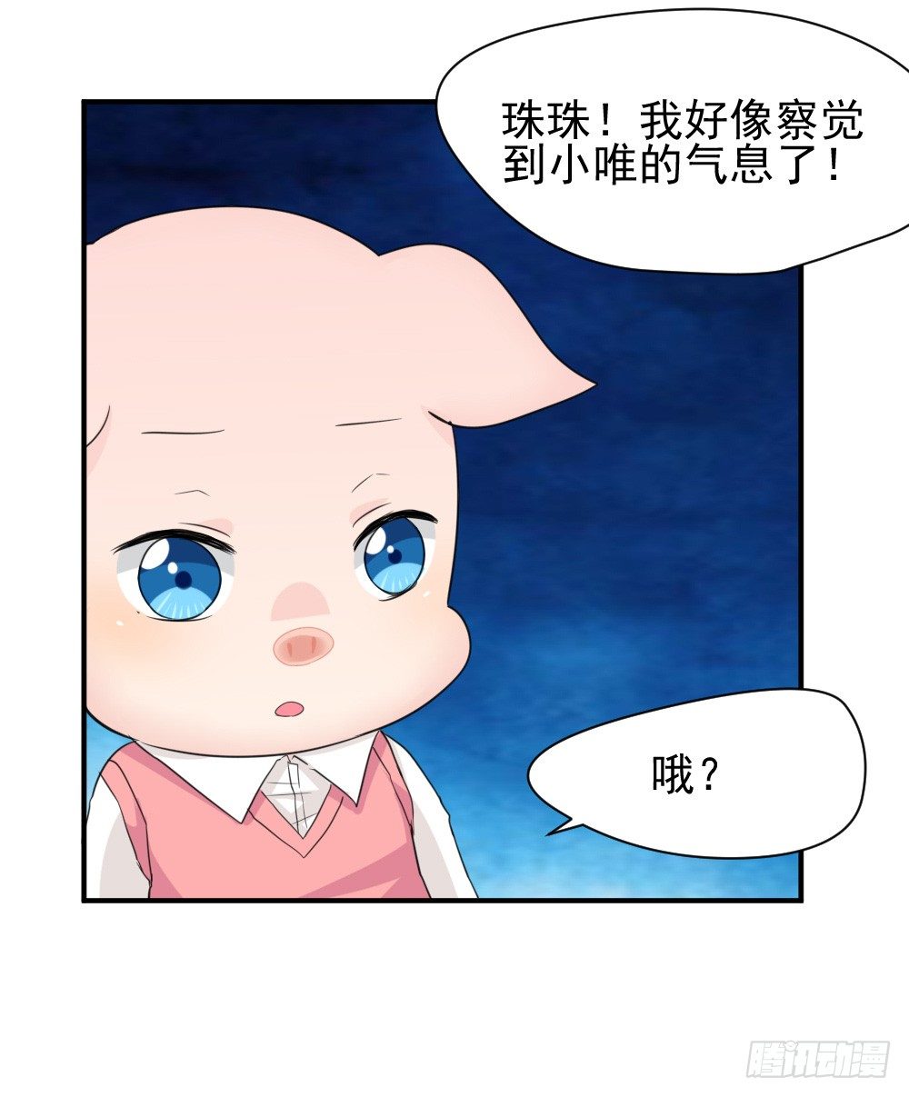 《猪可以有多可爱》奇怪的猪猪画像（1） 第15页