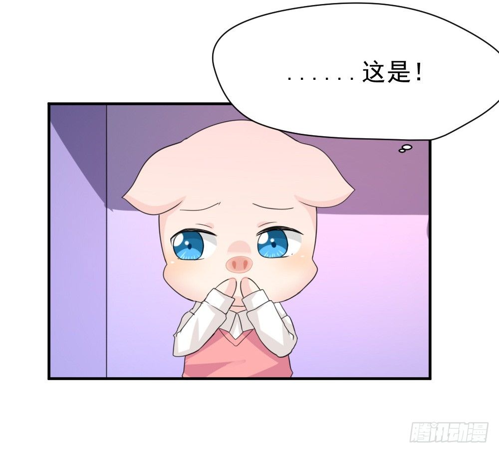 《猪可以有多可爱》奇怪的猪猪画像（1） 第29页