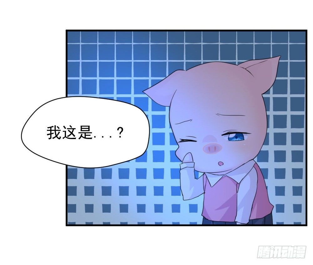 《猪可以有多可爱》奇怪的猪猪画像（1） 第3页
