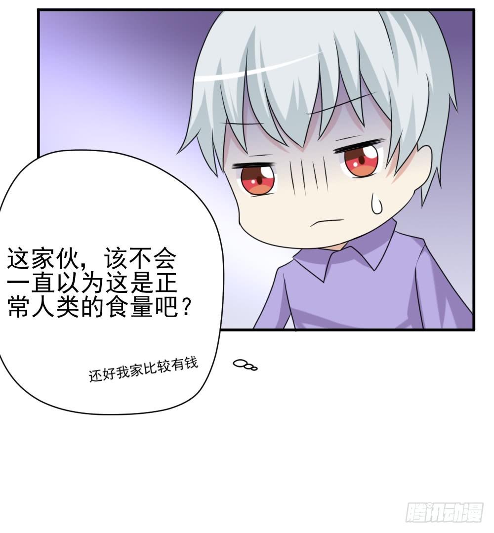 《猪可以有多可爱》番外猪的食量 第13页