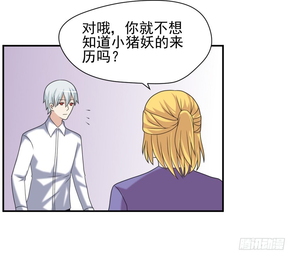 《猪可以有多可爱》通晓镜 第22页