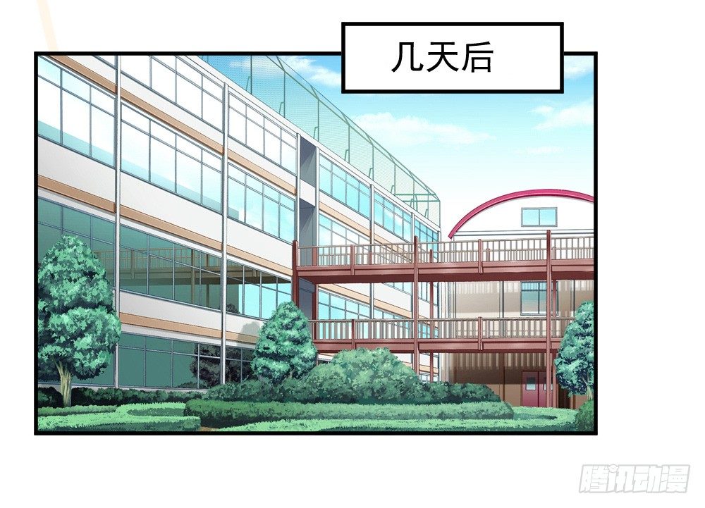 《猪可以有多可爱》胡媚 第2页