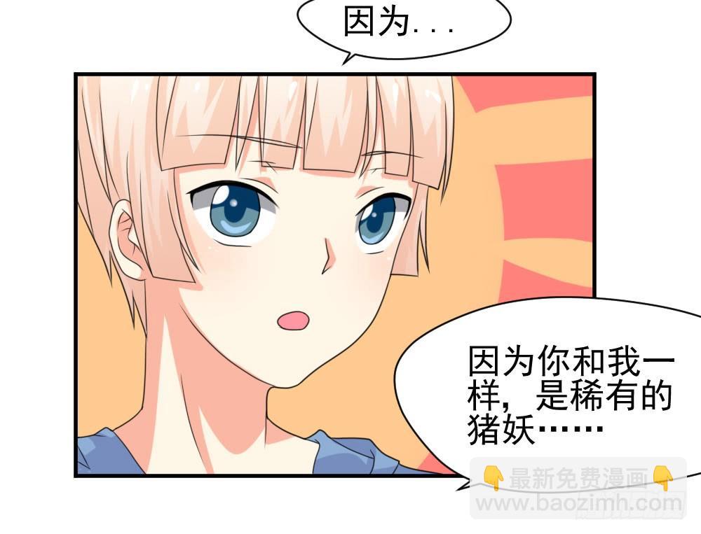 《猪可以有多可爱》胡媚 第30页
