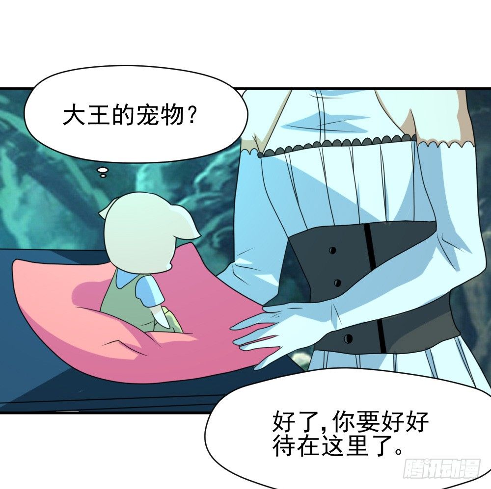 《猪可以有多可爱》大王的宠物 第25页