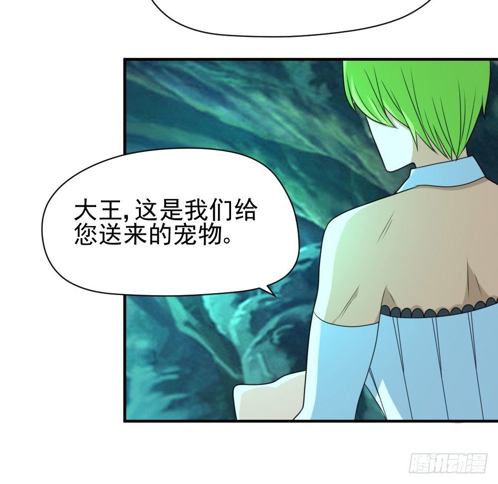 《猪可以有多可爱》大王的宠物 第27页