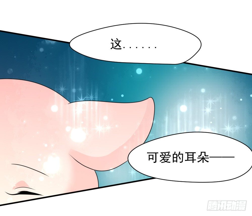 《猪可以有多可爱》大王的宠物 第30页