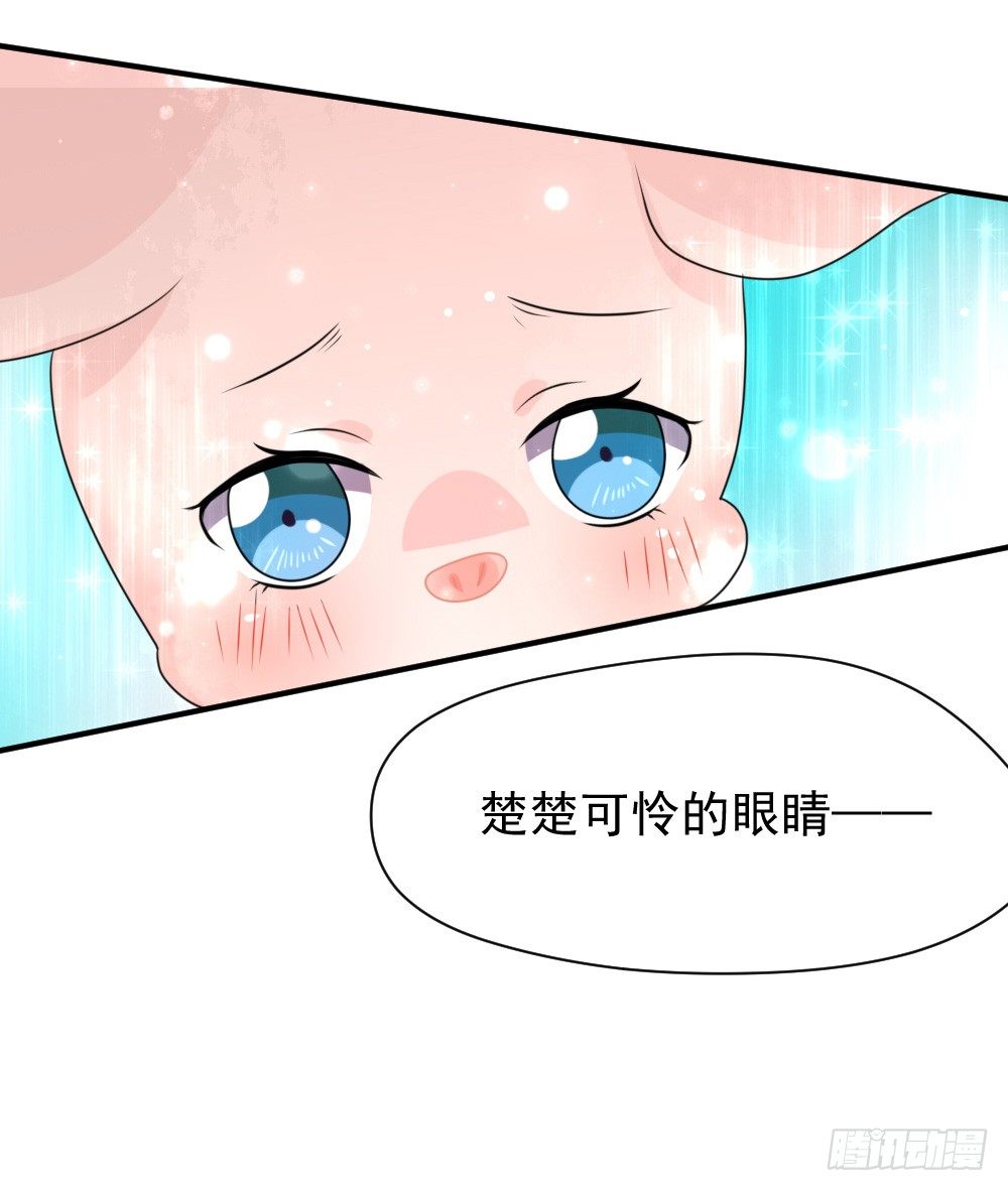 《猪可以有多可爱》大王的宠物 第32页