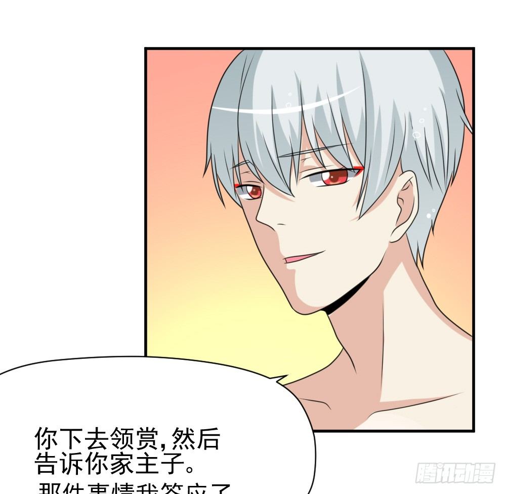 《猪可以有多可爱》大王的宠物 第36页