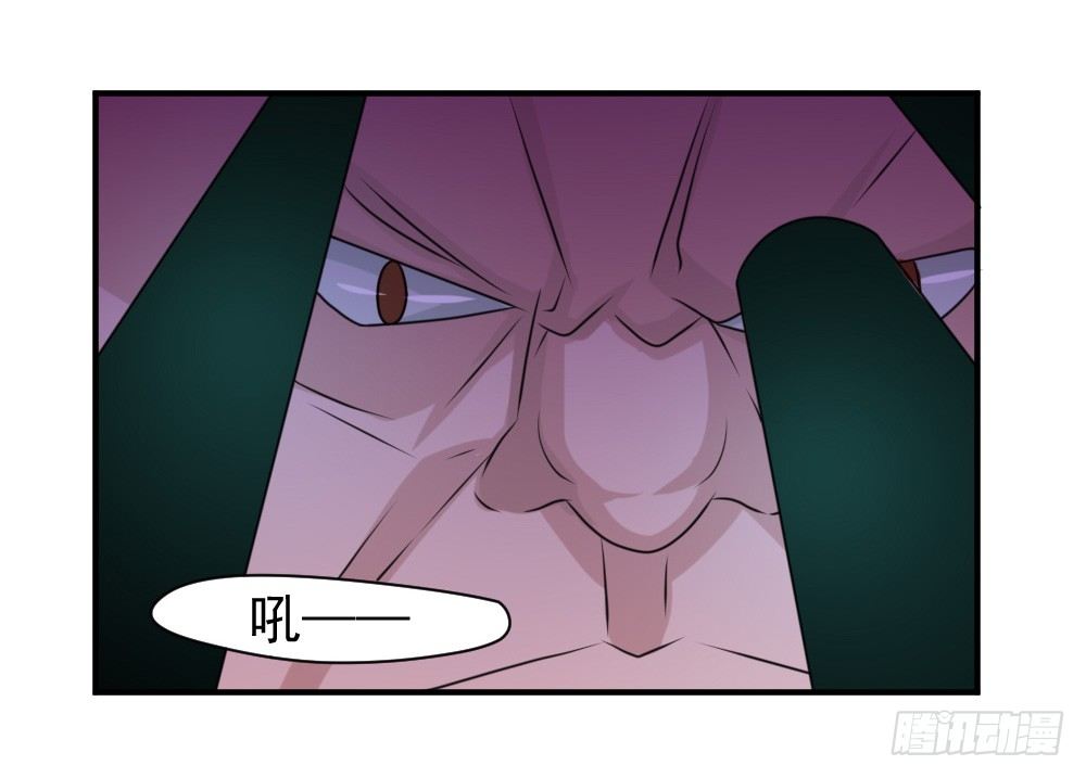 《猪可以有多可爱》不认识 第13页