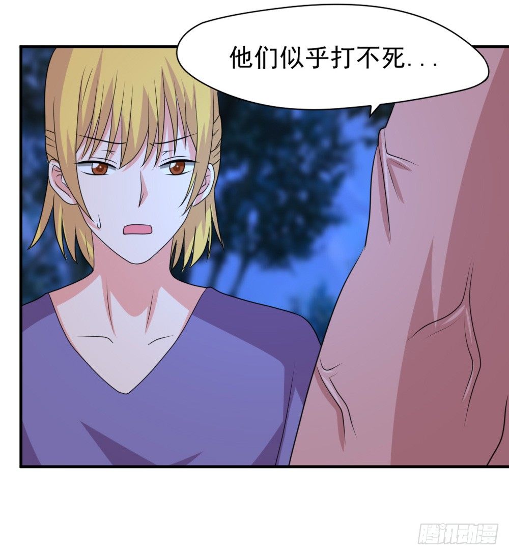 《猪可以有多可爱》不认识 第19页