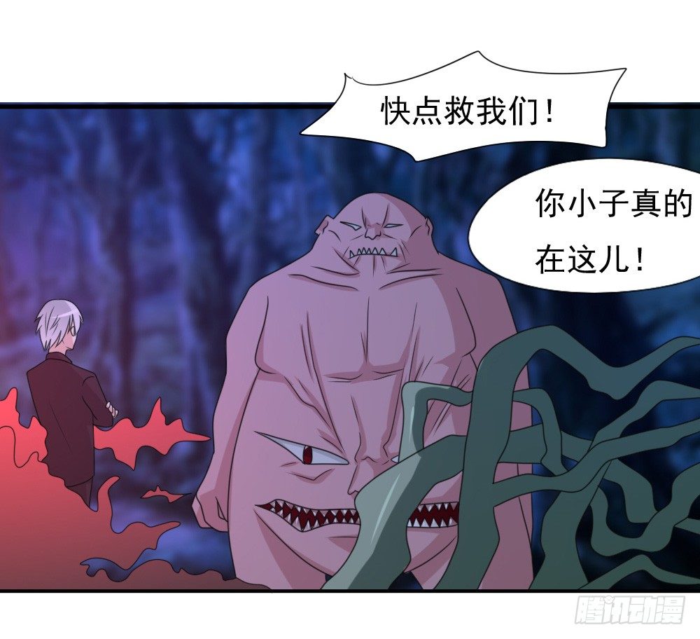 《猪可以有多可爱》不认识 第31页