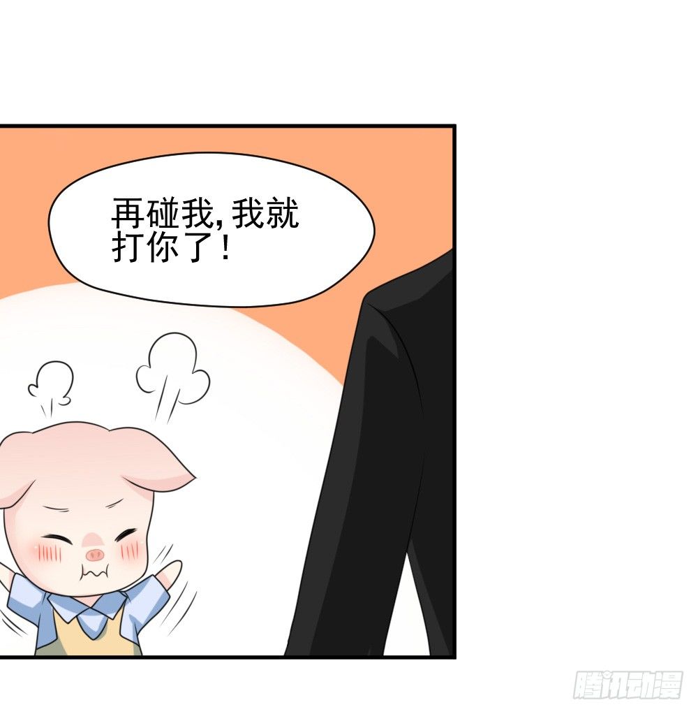《猪可以有多可爱》宠猪狂魔 第11页