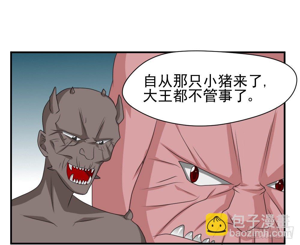 《猪可以有多可爱》宠猪狂魔 第2页