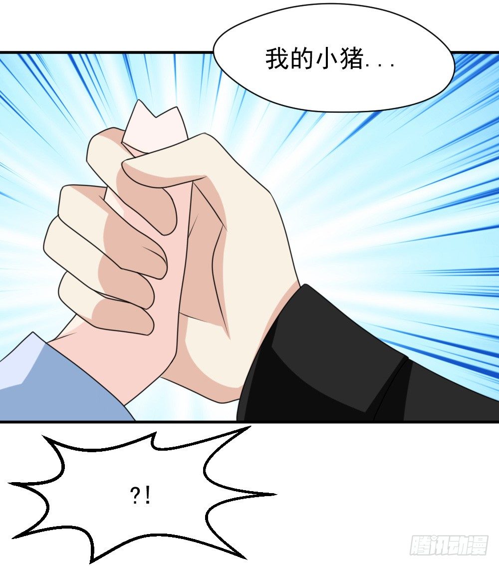 《猪可以有多可爱》宠猪狂魔 第37页