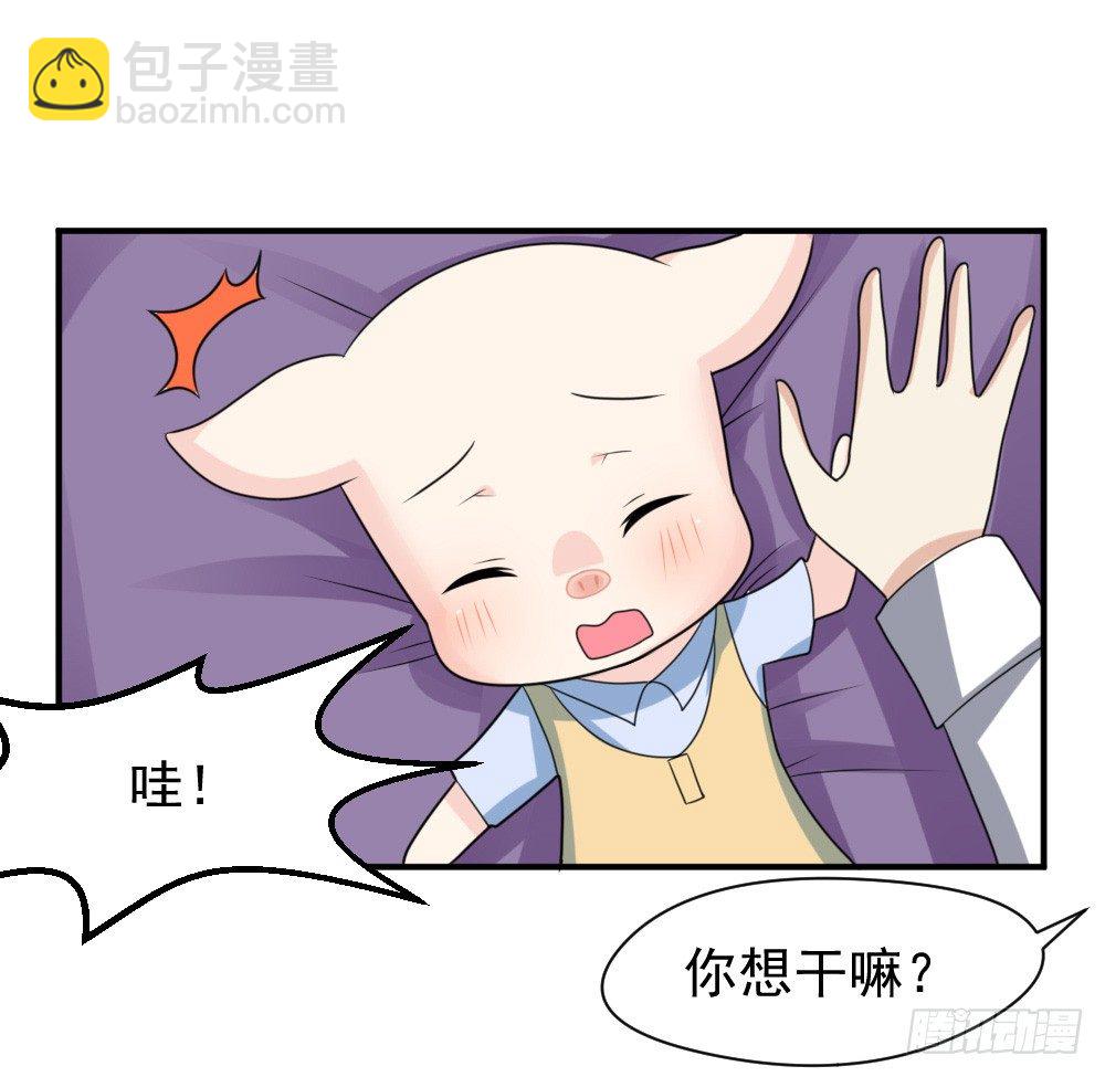 《猪可以有多可爱》宠猪狂魔 第38页