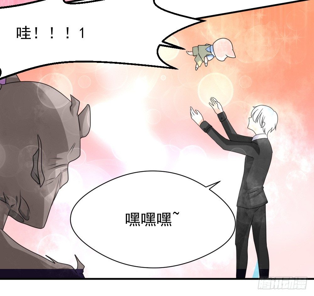 《猪可以有多可爱》宠猪狂魔 第6页