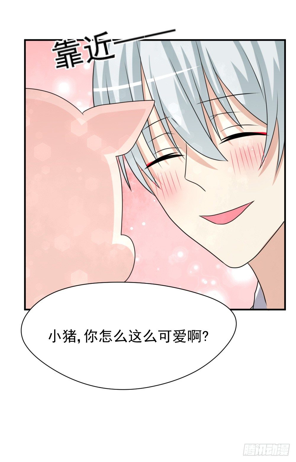 《猪可以有多可爱》宠猪狂魔 第8页